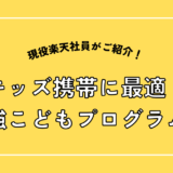 キッズ携帯に最適！最強こどもプログラムとは？